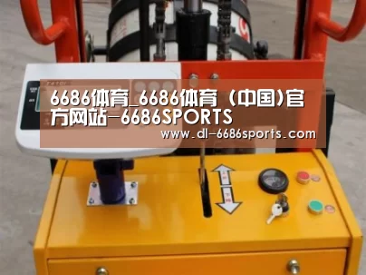 6686案例展示三