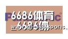 6686合作伙伴四