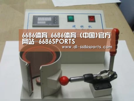 6686案例展示六