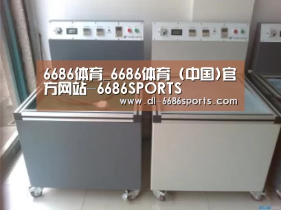 6686案例展示二