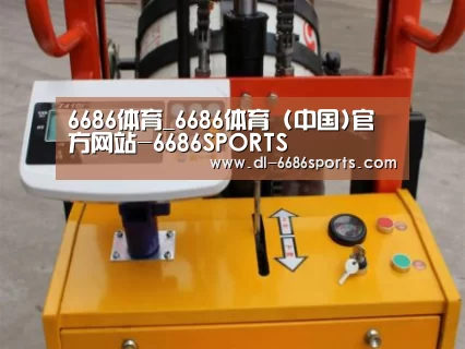 6686案例展示三(图1)