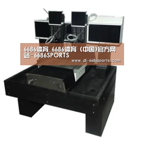 6686产品名称七