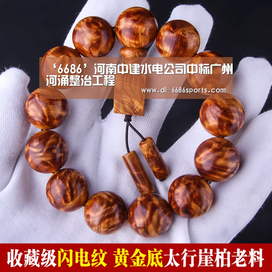 ‘6686’河南中建水电公司中标广州河涌整治工程(图4) 6686体育